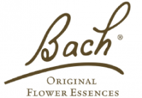 logo-bach.png