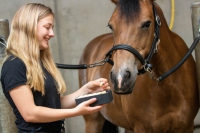 Excellent Horse Healthy Box Weerstand