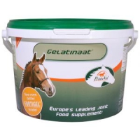 Primeval Gelatinaat Paard