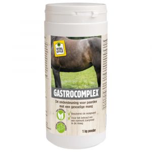 Vitalstyle GastroComplex 1 kg