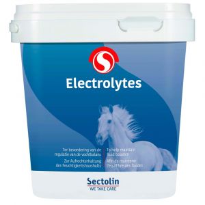 Sectolin Elektrolytes