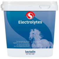 Sectolin Elektrolytes