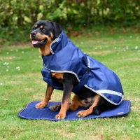 Bucas Therapy Dog rug