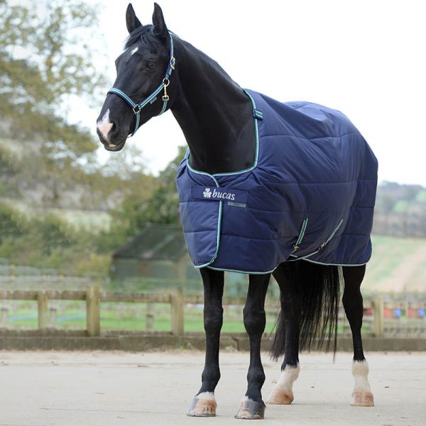 Bucas Quilt 150 Big Neck stay dry