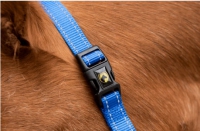 Excellent Horse Essential Halster Blauw