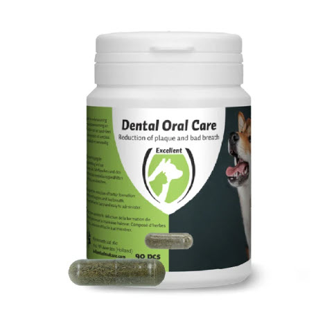 Dental Oral Care Hond