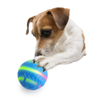 AFP Interactives Motion Activated Action Ball