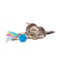 AFP Modern Cat Dizzy Spinner