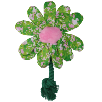 Garden Paws Flower Summer Shrubs M