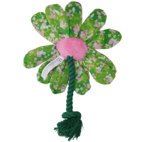 Garden Paws Flower Summer Shrubs M