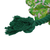 Garden Paws Flower Summer Shrubs M