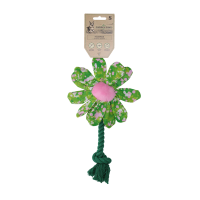Garden Paws Flower Summer Shrubs S
