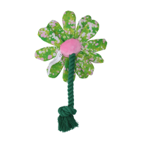 Garden Paws Flower Summer Shrubs S