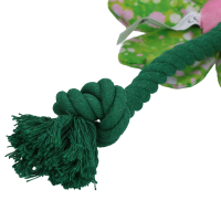 Garden Paws Flower Summer Shrubs S