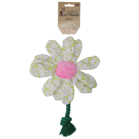 Garden Paws Flower Spring Sakura M
