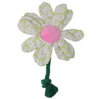 Garden Paws Flower Spring Sakura M