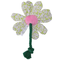 Garden Paws Flower Spring Sakura M