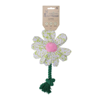 Garden Paws Flower Spring Sakura S