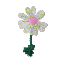 Garden Paws Flower Spring Sakura S