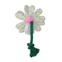 Garden Paws Flower Spring Sakura S
