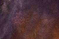 Excellent Horse Hi Gloss Glitter Spray Orange 250 ml