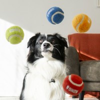 KONG Sport Softies Ball Assorted M
