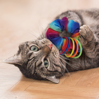 KONG Active Scrunchie