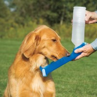 Pawise Travel Bottle 500 ml