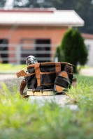 Covalliero Grooming Bag Blauw