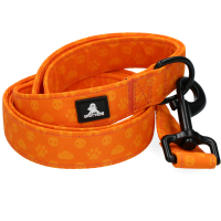 Spotted! Pro Perfect Leash 120 cm Oranje