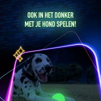 2 Glow Fetch & Play